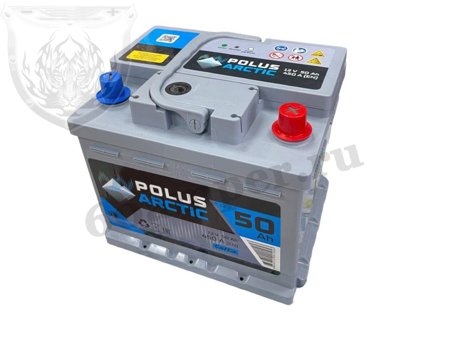 Изображение Аккумулятор POLUS ARCTIC 60 А*ч Обратный Низкий : №1