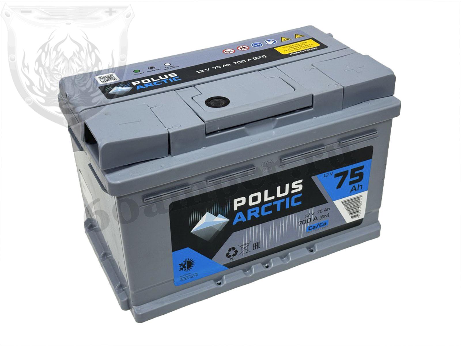 Изображение Аккумулятор POLUS ARCTIC 75 А*ч Обратный Низкий : №1